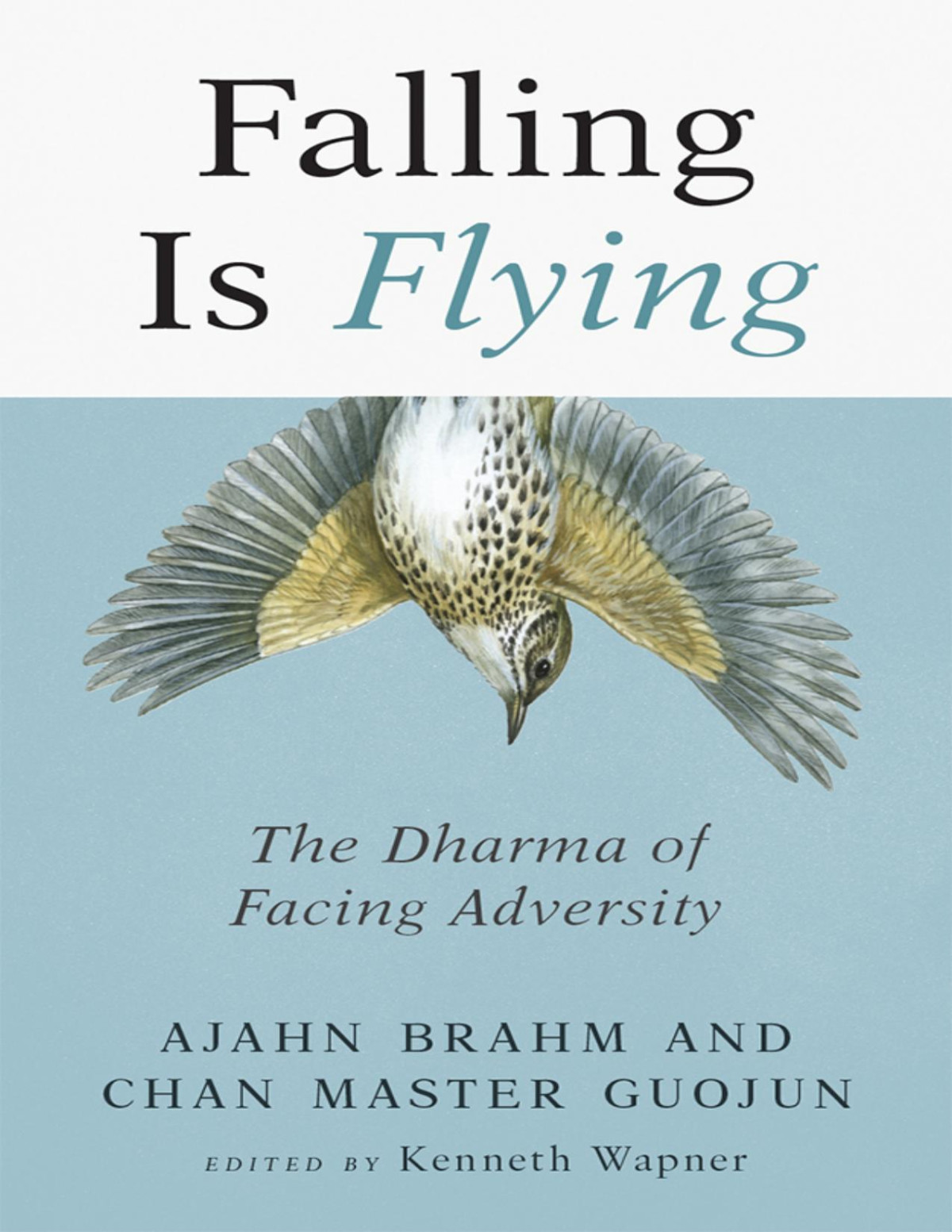 Falling Is Flying Ajahn Brahm Master Guojun