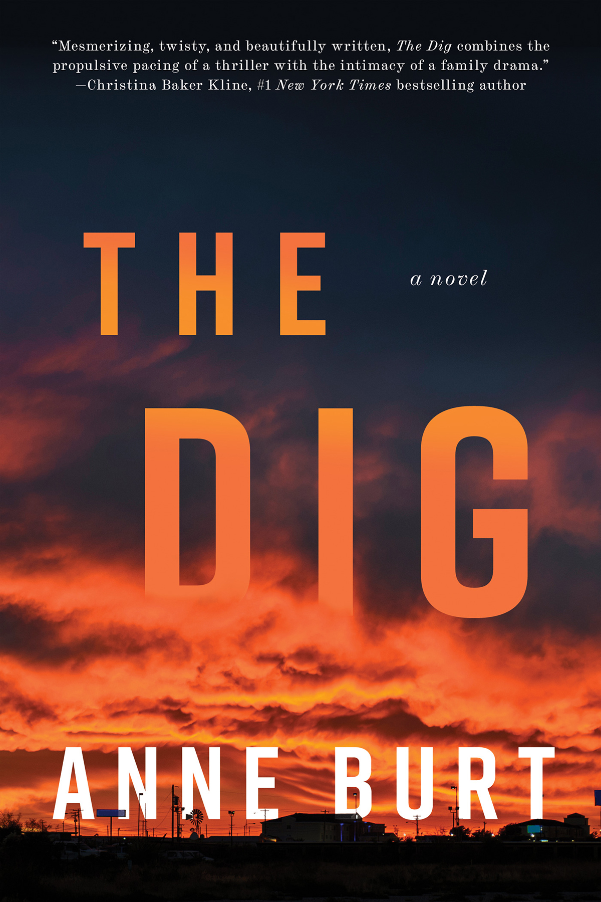 The Dig Anne Burt