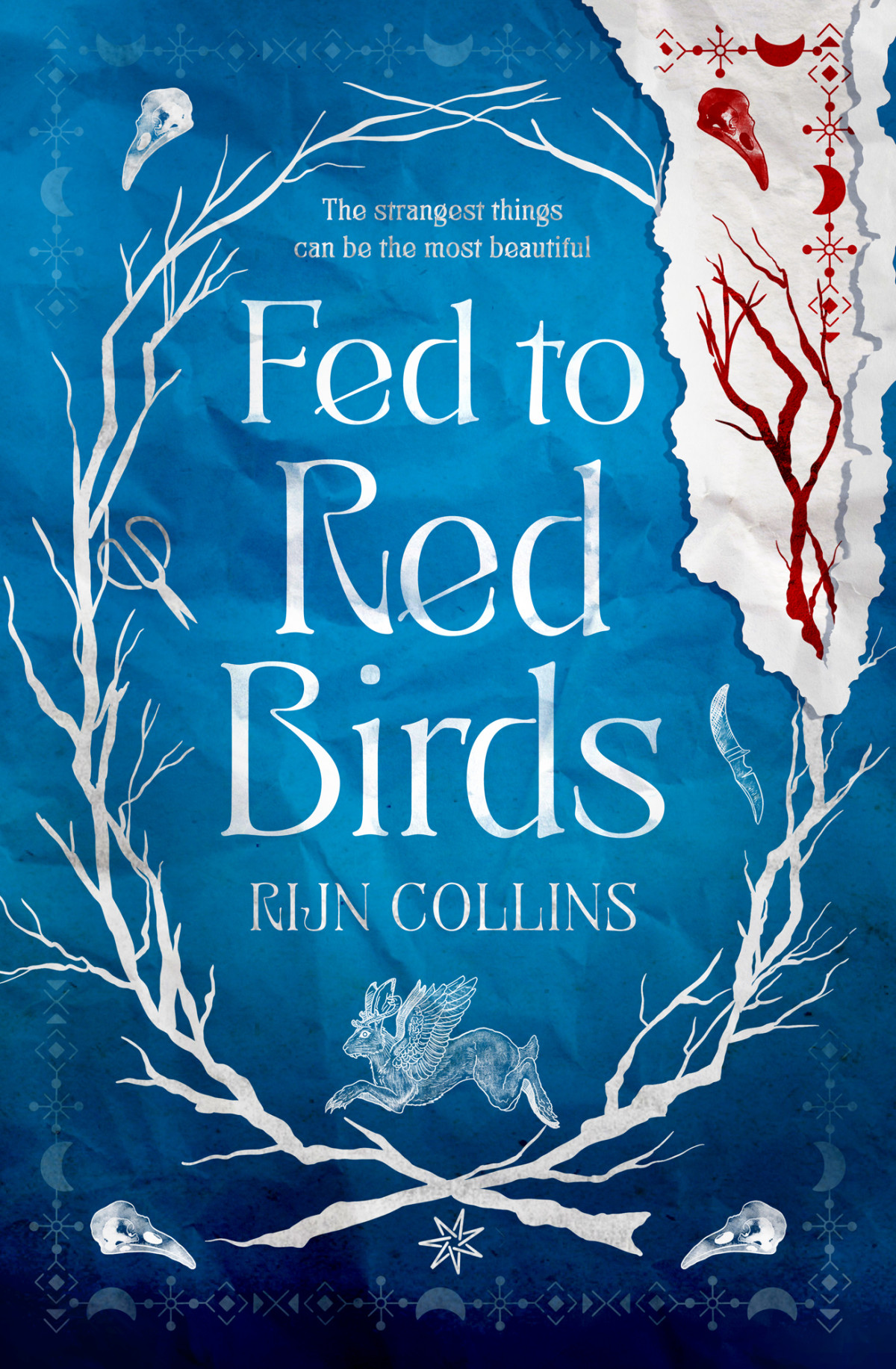 Fed To Red Birds Rijn Collins