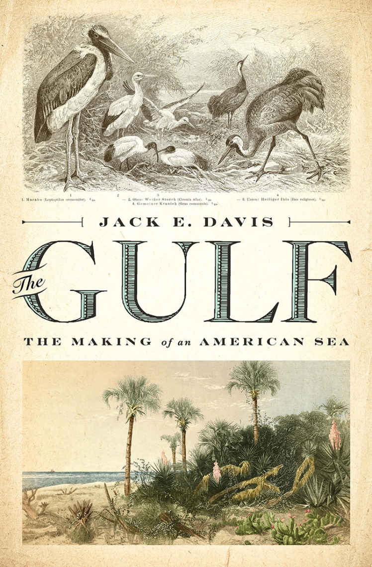 The Gulf The Making Of An American Sea Jack E Davis