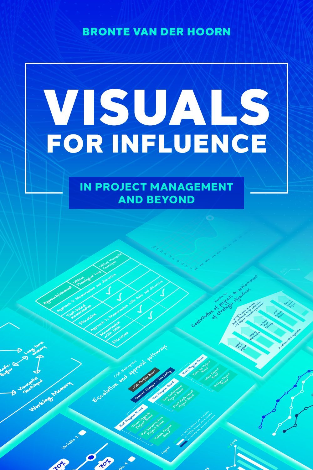 Visuals For Influence In Project Management And Beyond Bronte Van Der Hoorn