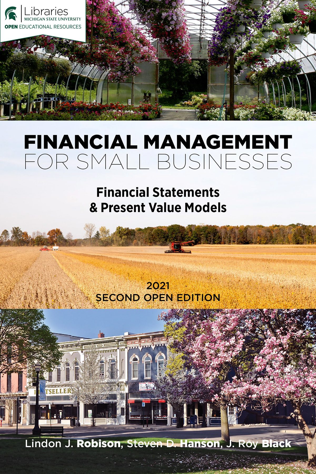 Financial Management For Small Businesses Financial Statements Present Value Models 2021 2nd Open Edition Lindon J Robison