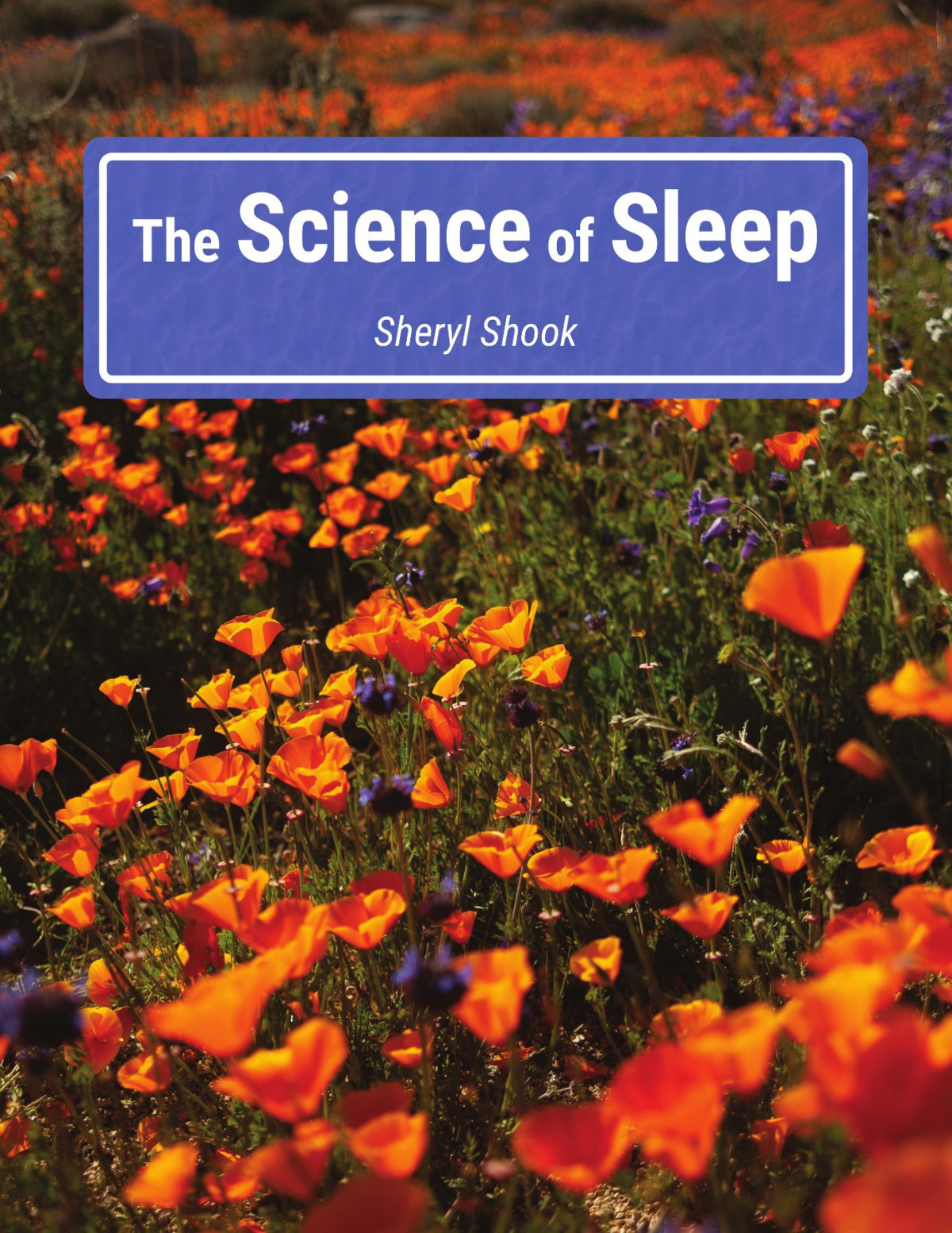 The Science Of Sleep 1st Sheryl Shook