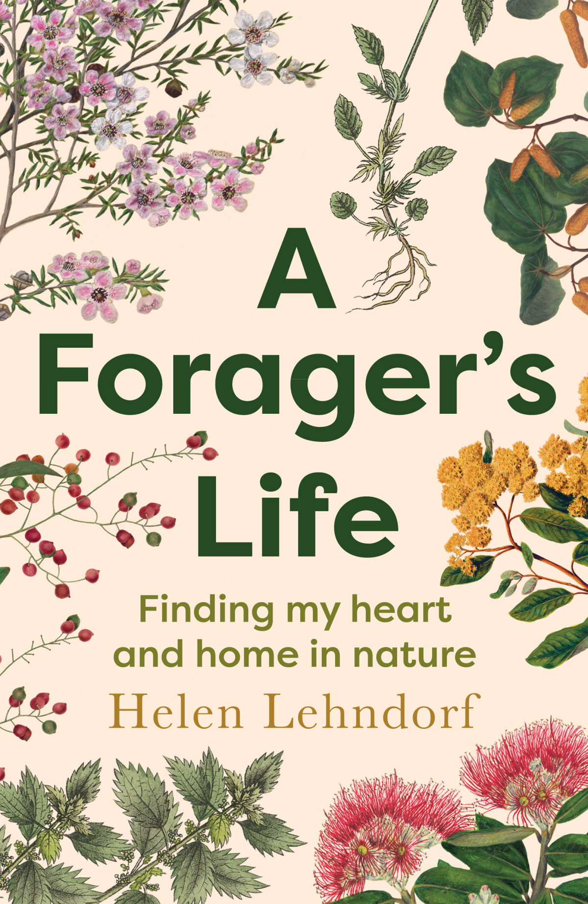 A Foragers Life Finding My Heart And Home In Nature Helen Lehndorf