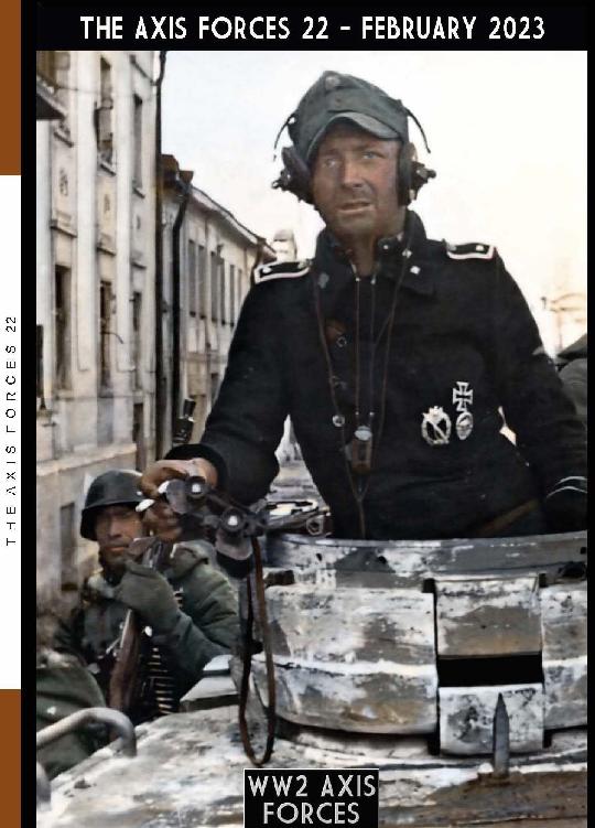 The Axis Forces 22 1st Edition Massimiliano Afiero