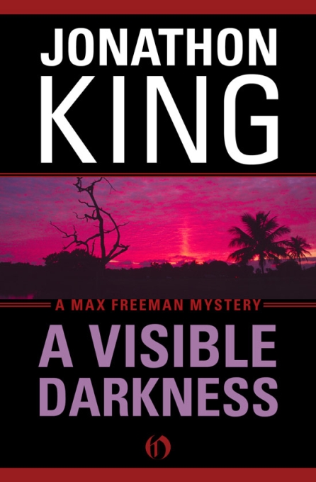 A Visible Darkness Jonathon King