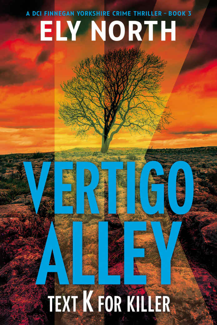 Vertigo Alley Text K For Killer 1st Edition Ely North