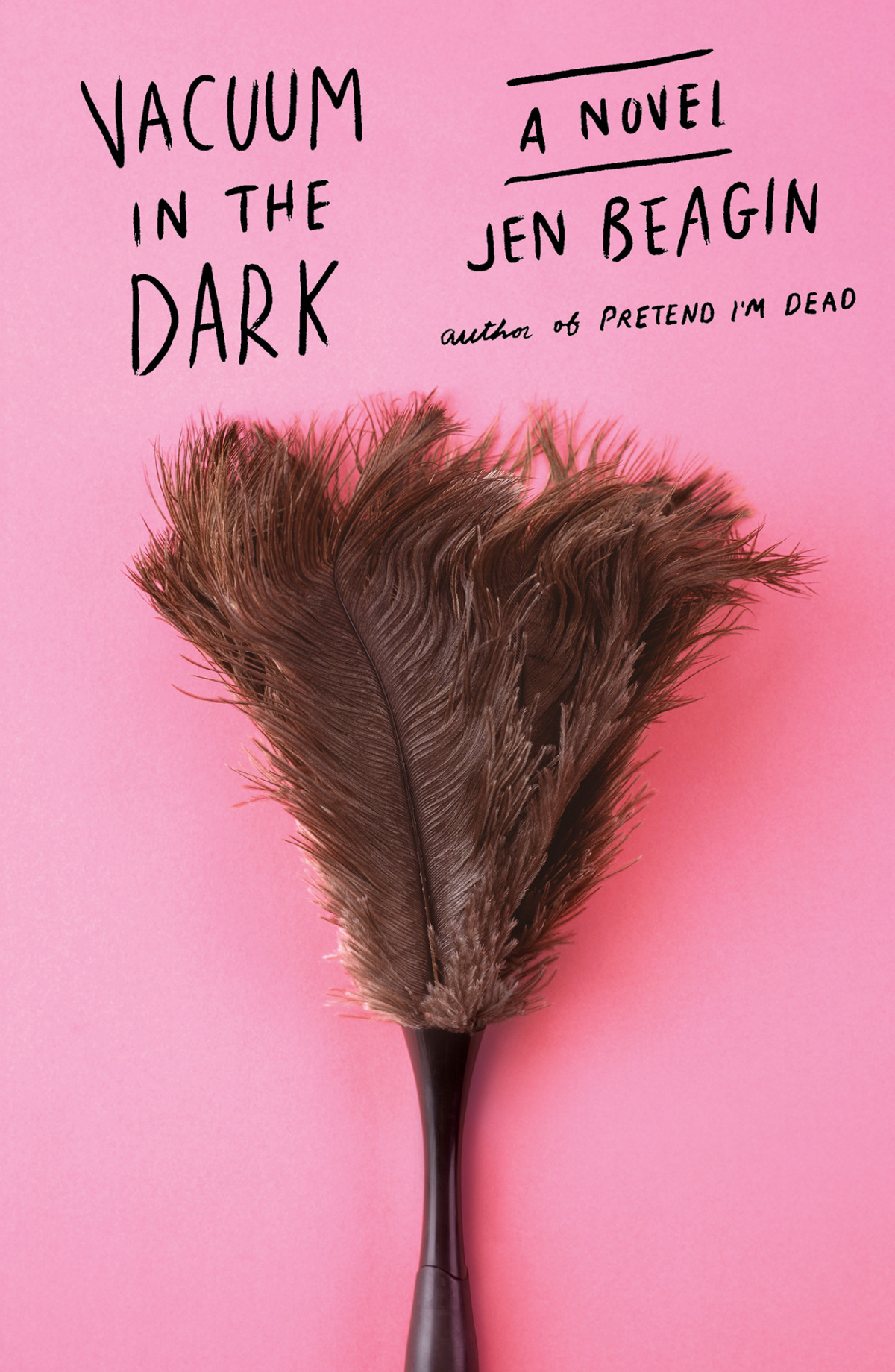 Vacuum In The Dark Jen Beagin