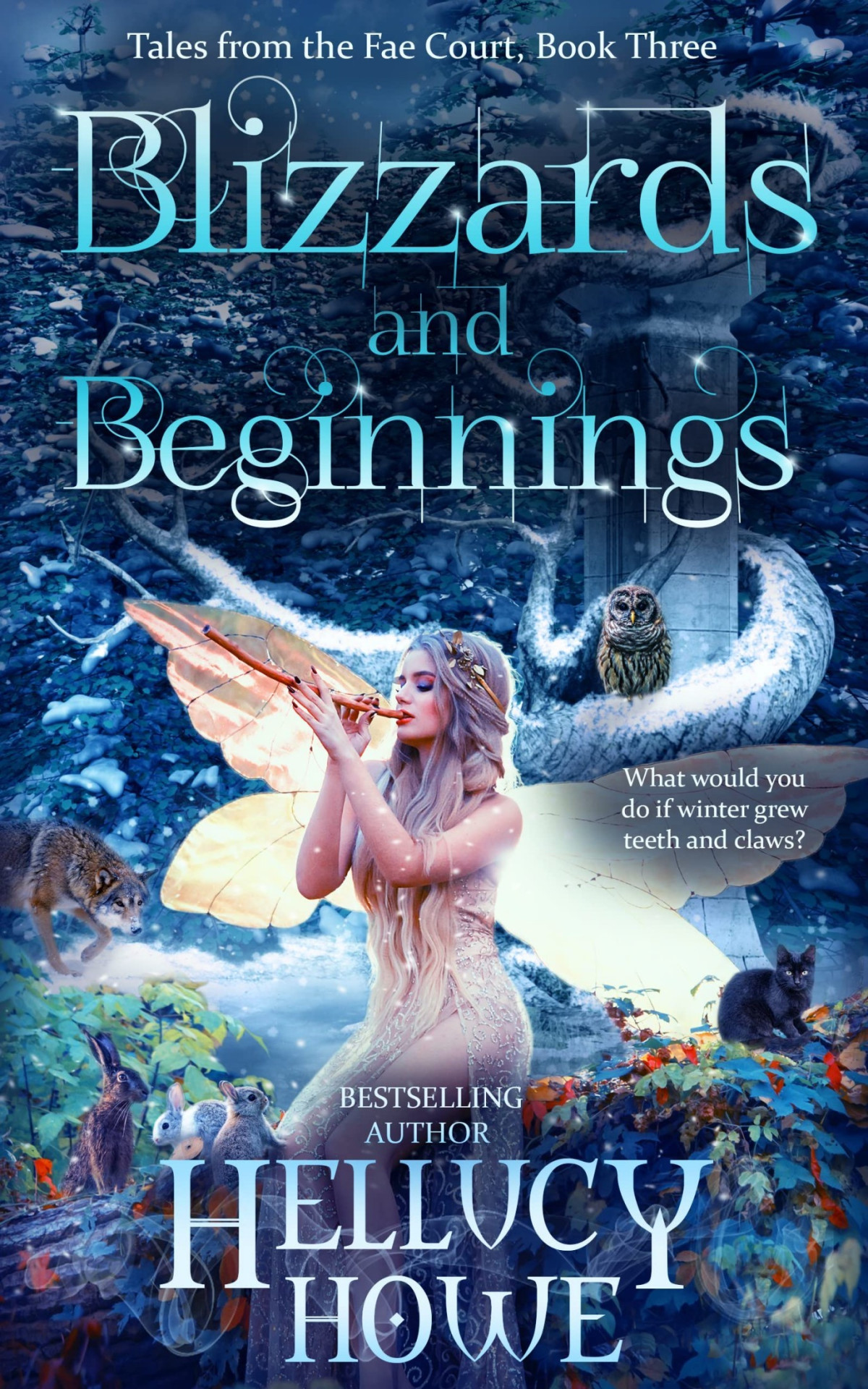 Blizzards And Beginnings Hellucy Howe