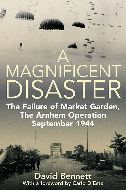 Magnificent Disaster David Bennett