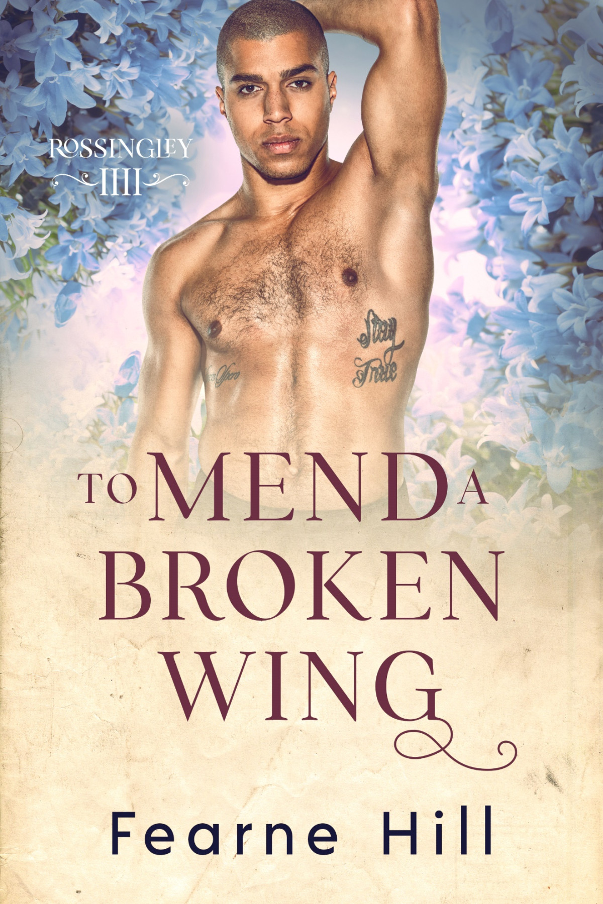 To Mend A Broken Wing Fearne Hill