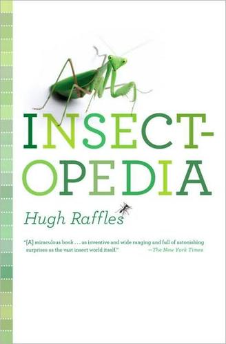 Insectopedia Hugh Raffles