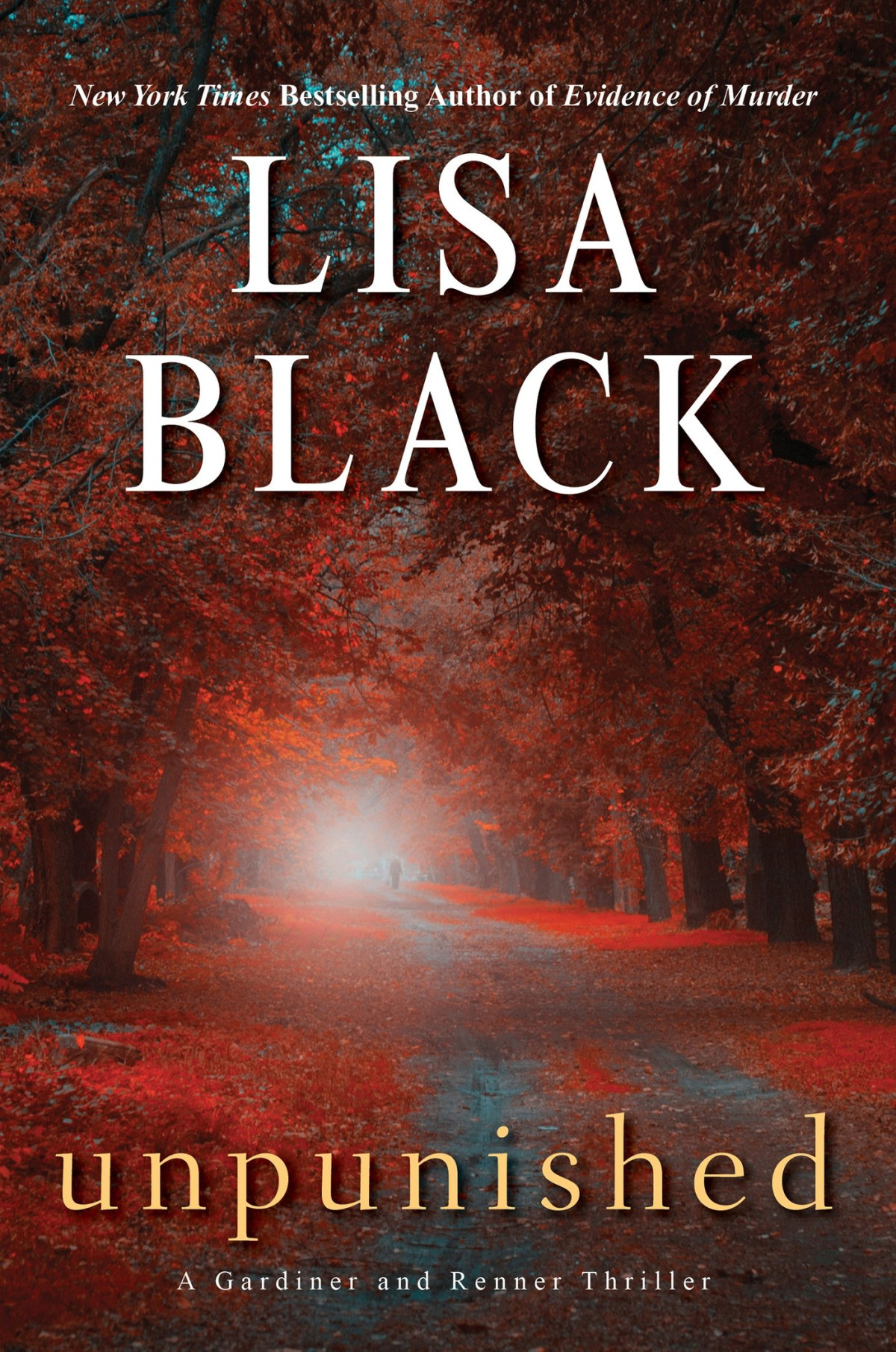 Unpunished Lisa Black