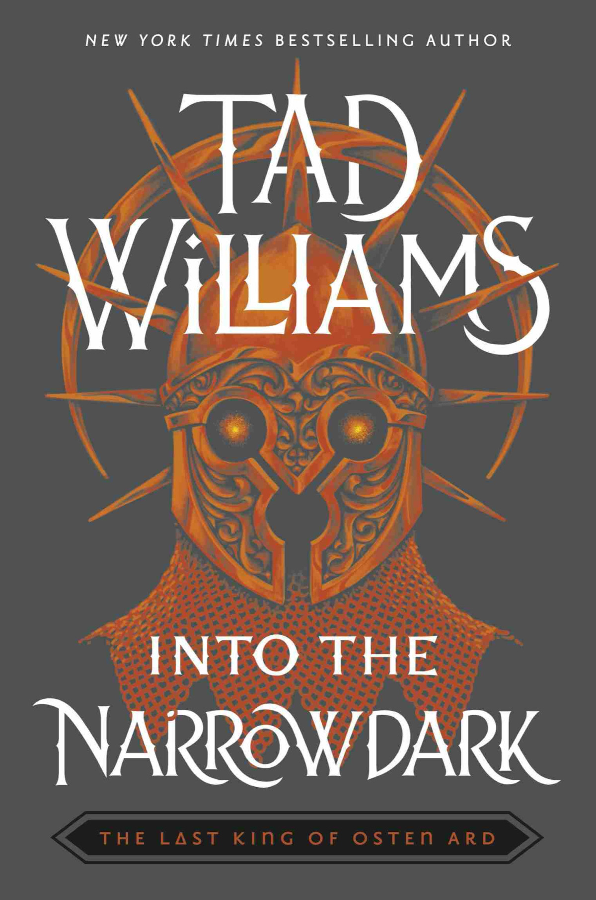 Into The Narrowdark Tad Williams