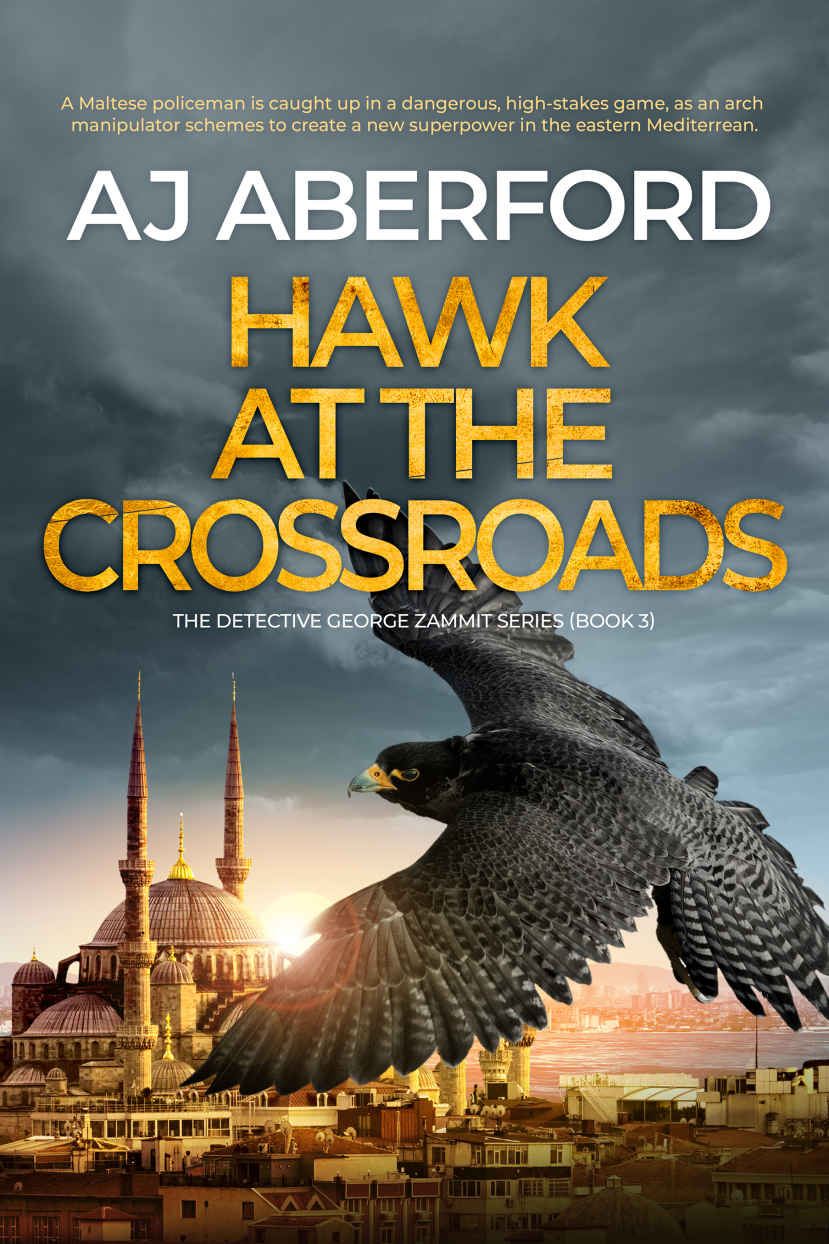 Hawk At The Crossroads Aj Aberford