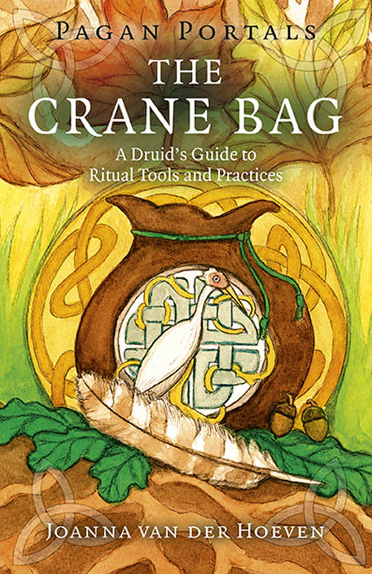 Pagan Portals The Crane Bag Joanna Van Der Hoeven