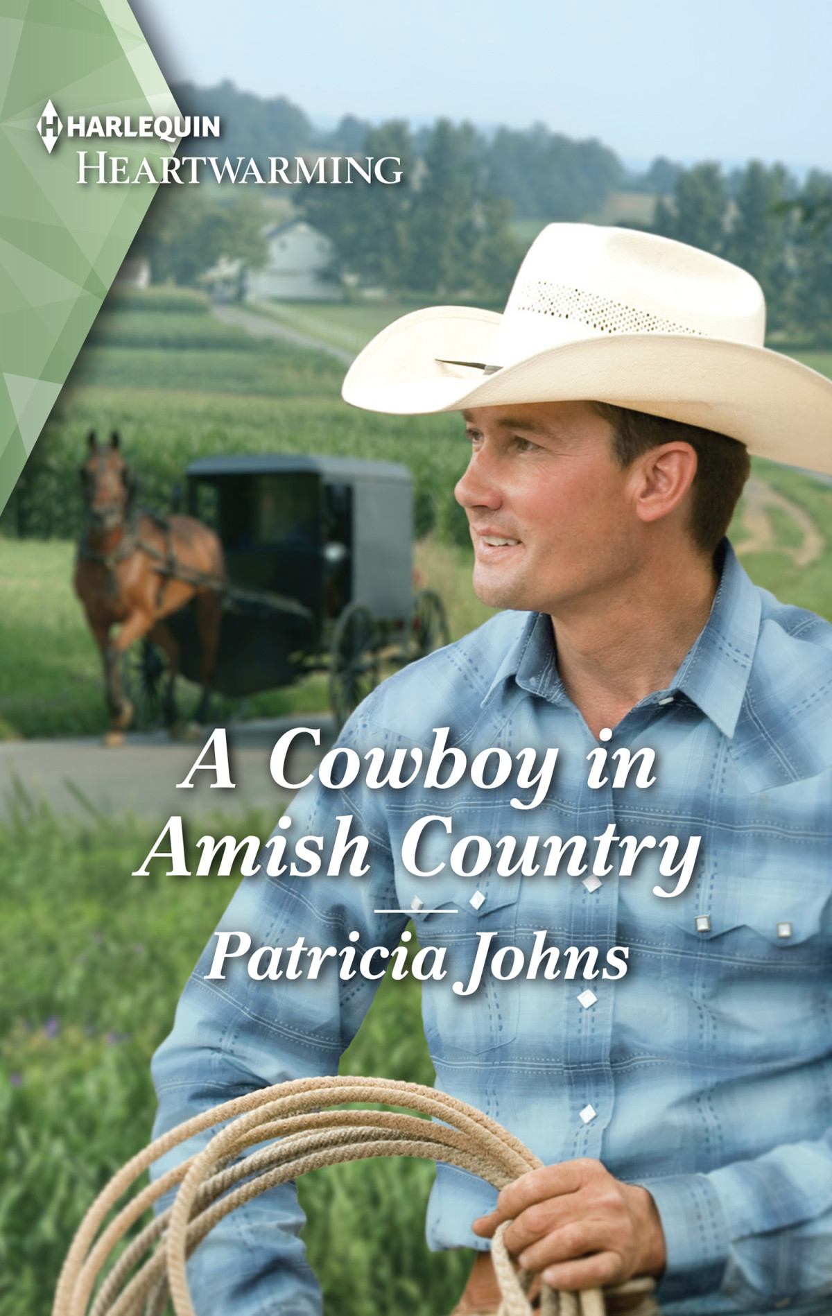 A Cowboy In Amish Country Patricia Johns