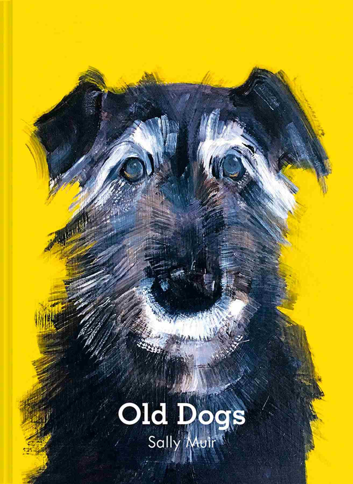 Old Dogs Sally Muir