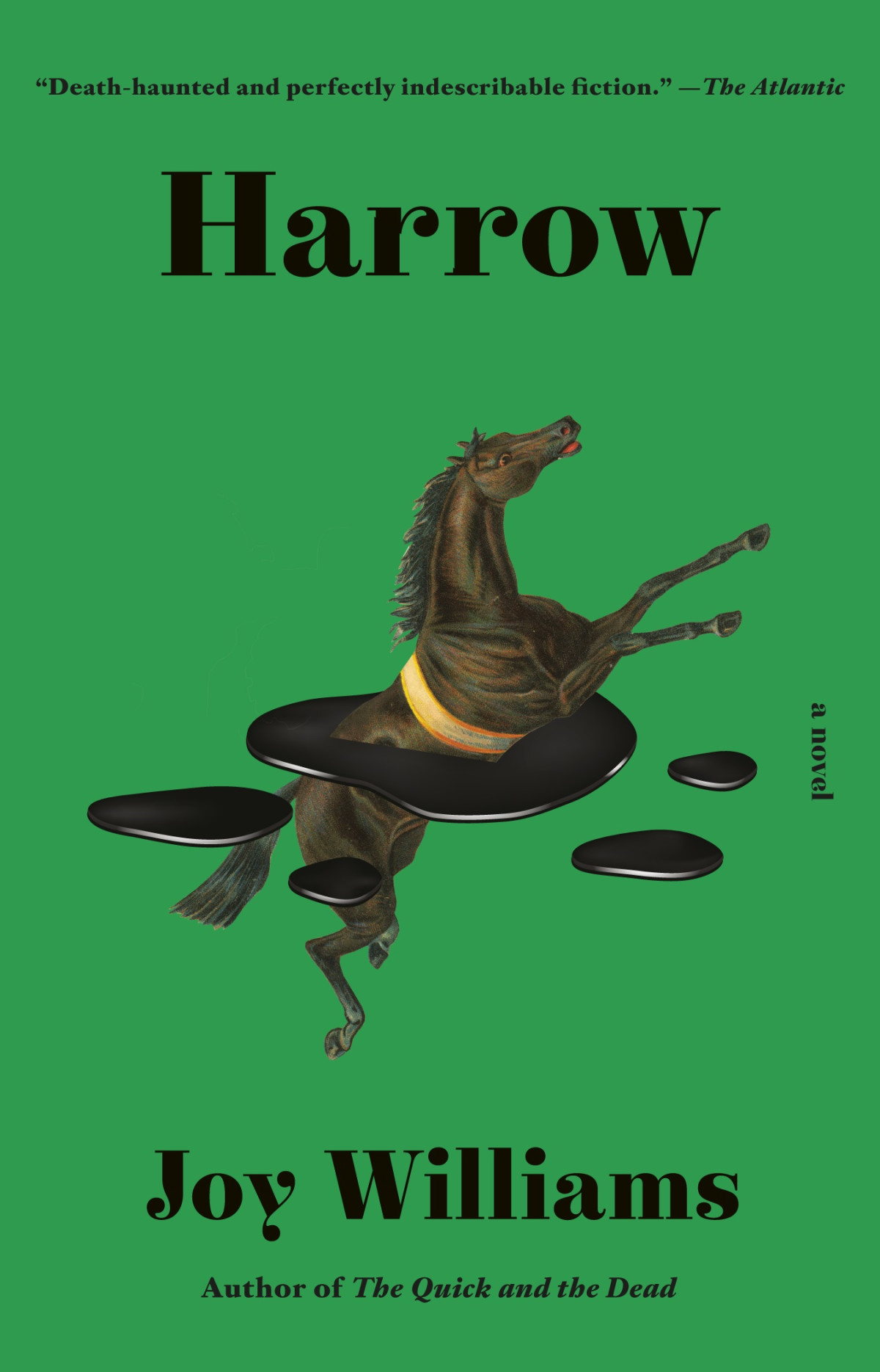 Harrow Joy Williams