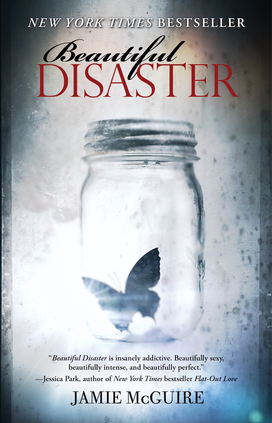 Beautiful Disaster Jamie Mcguire