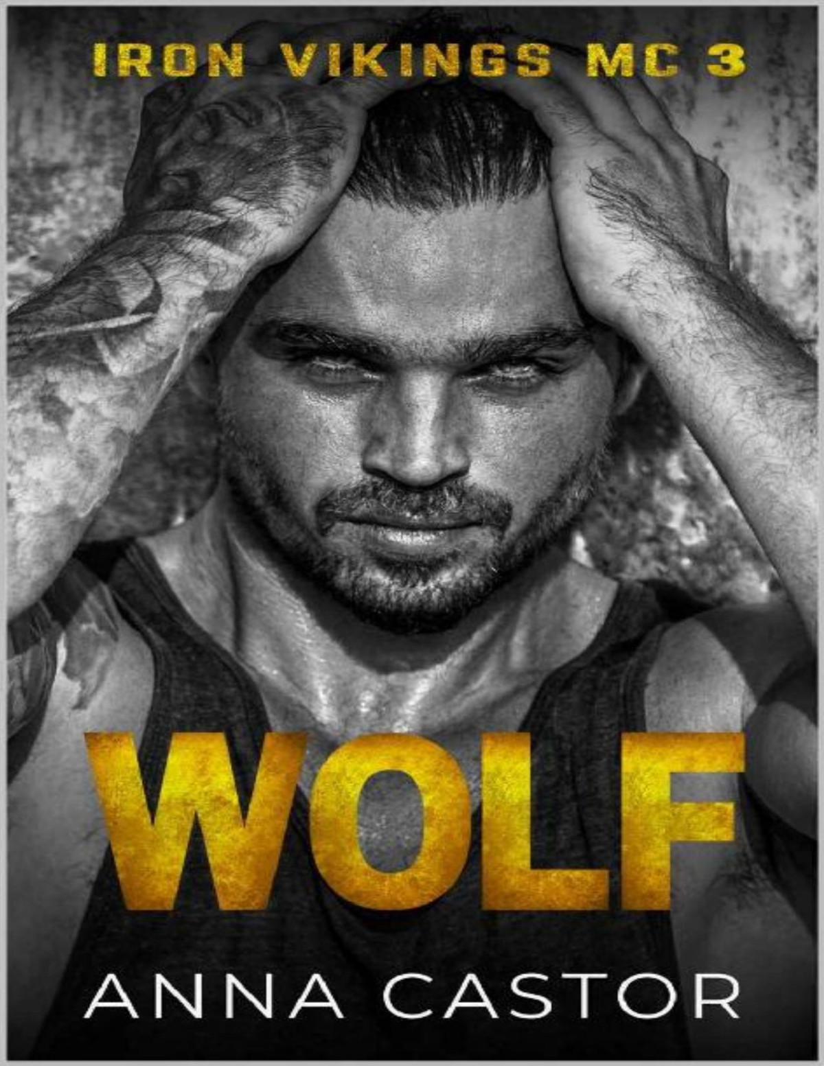 Wolf Dark Mc Romance Iron Vikings Mc Book 3 Anna Castor