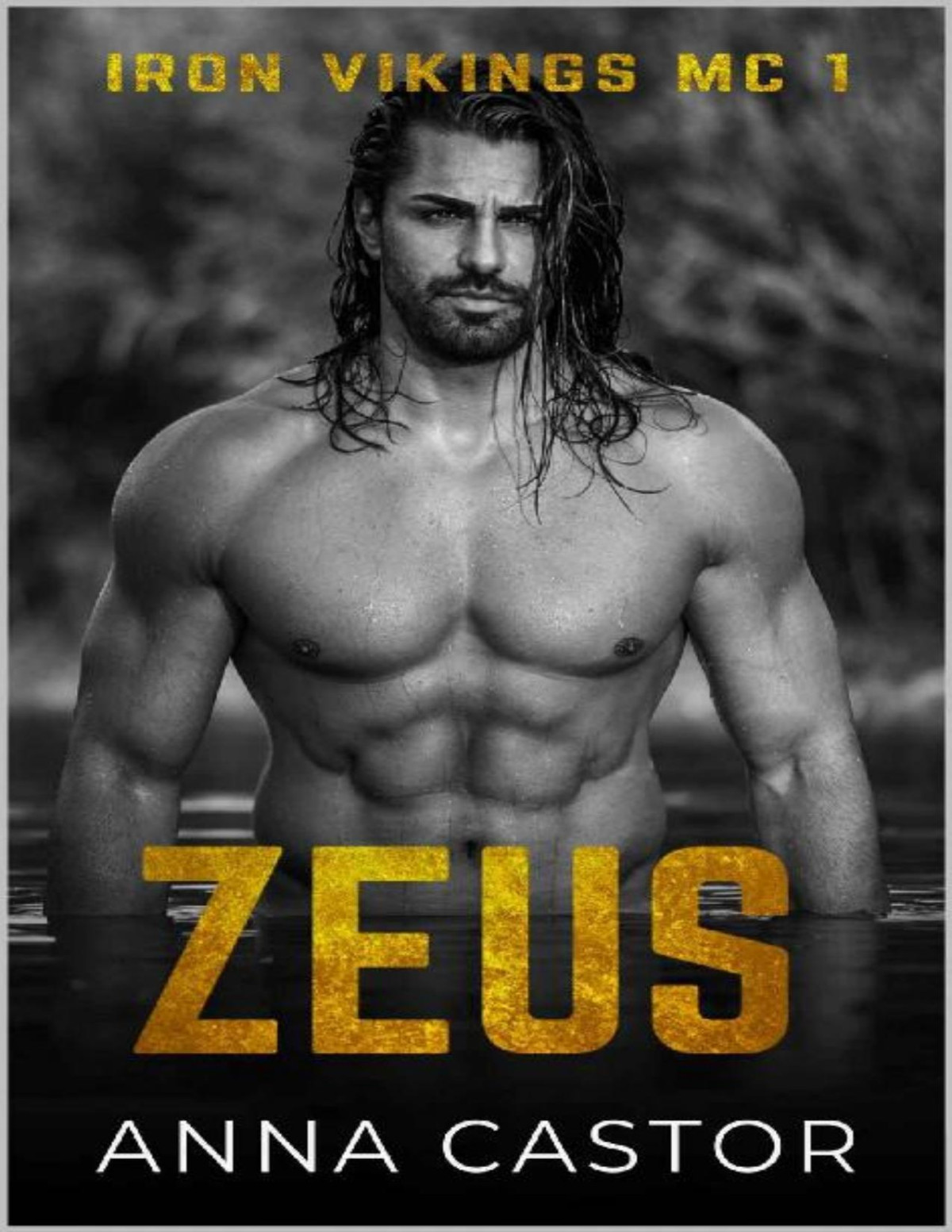 Zeus Iron Vikings Mc Biker Romance Series Anna Castor