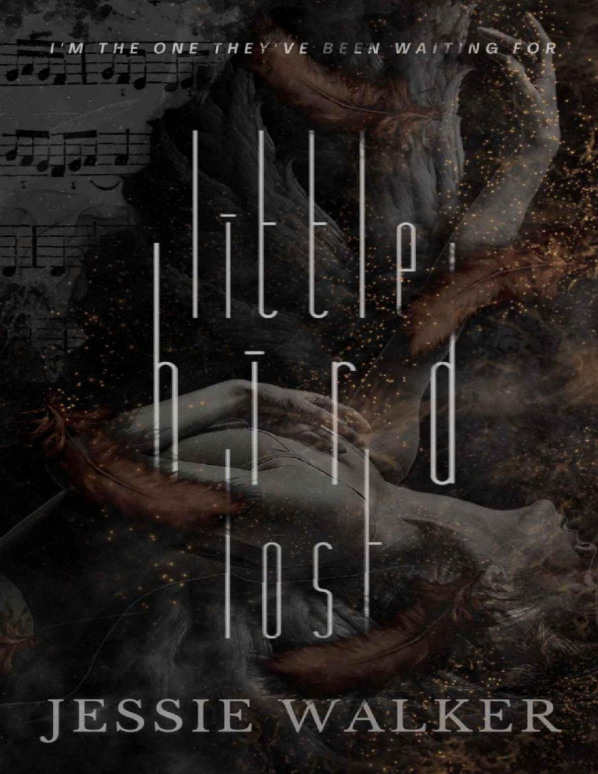 Little Bird Lost Jessie Walker
