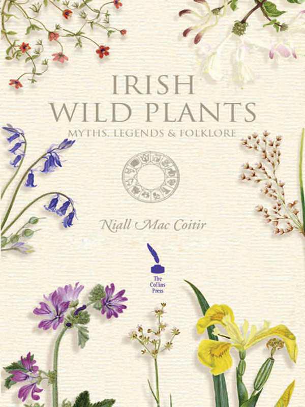 Irelands Wild Plants Myths Legends Folklore Niall Mac Coitir