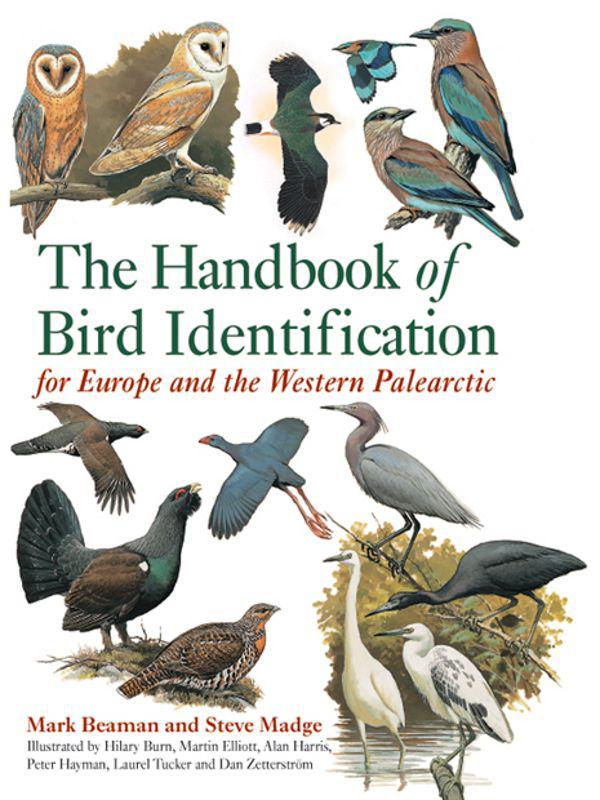 The Handbook Of Bird Identification Mark Beaman Steve Madge