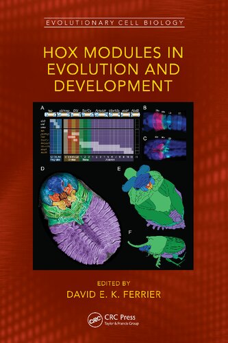 Hox Modules In Evolution And Development David E K Ferrier