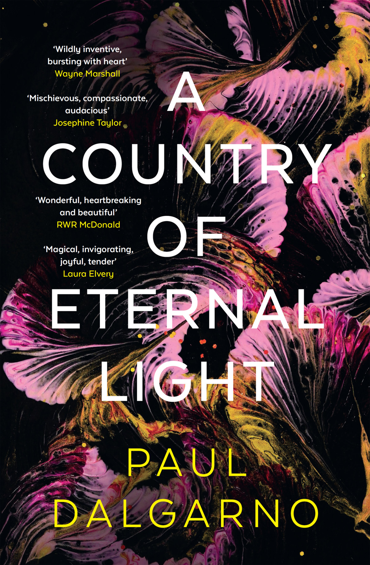 A Country Of Eternal Light Paul Dalgarno