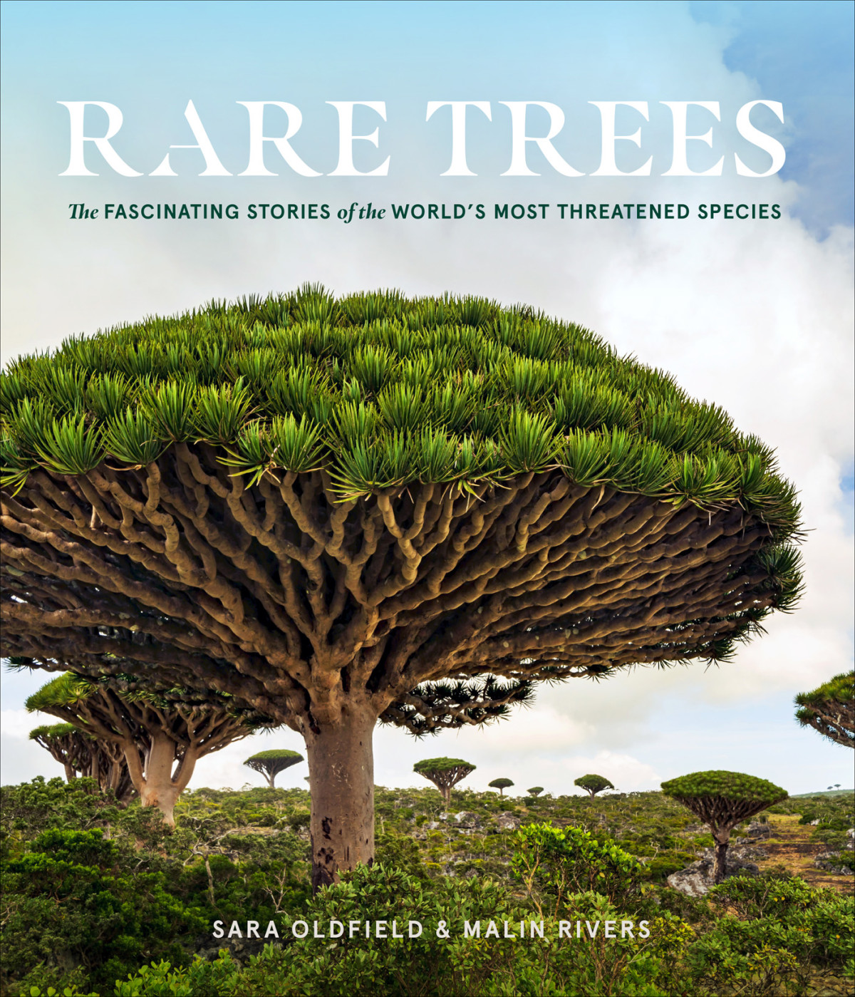 Rare Trees The Fascinating Stories Of The Worlds Most Threatened Species Sara Oldfield
