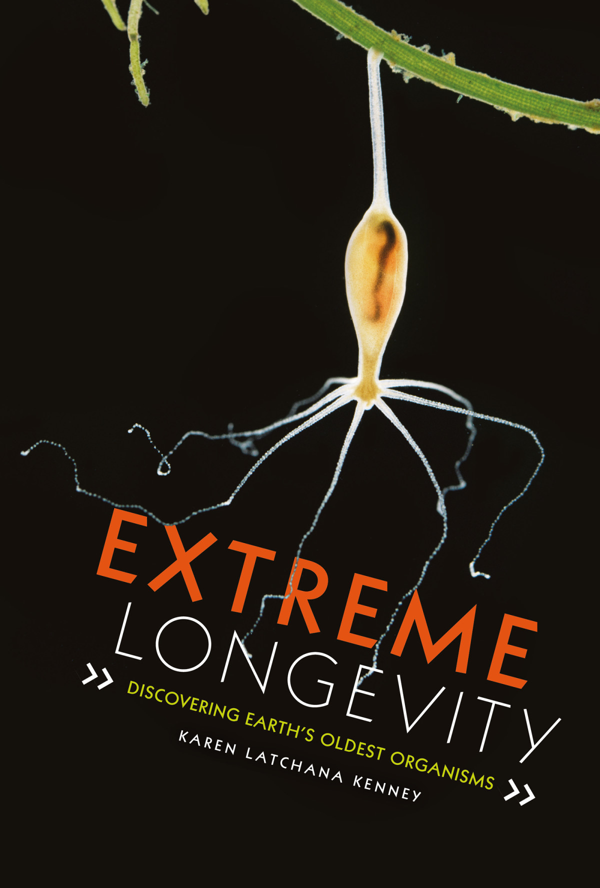 Extreme Longevity Discovering Earths Oldest Organisms Karen Latchana Kenney