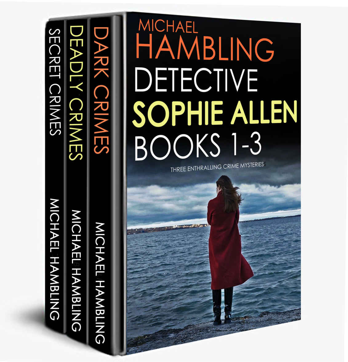 Detective Sophie Allen Books 13 Michael Hambling