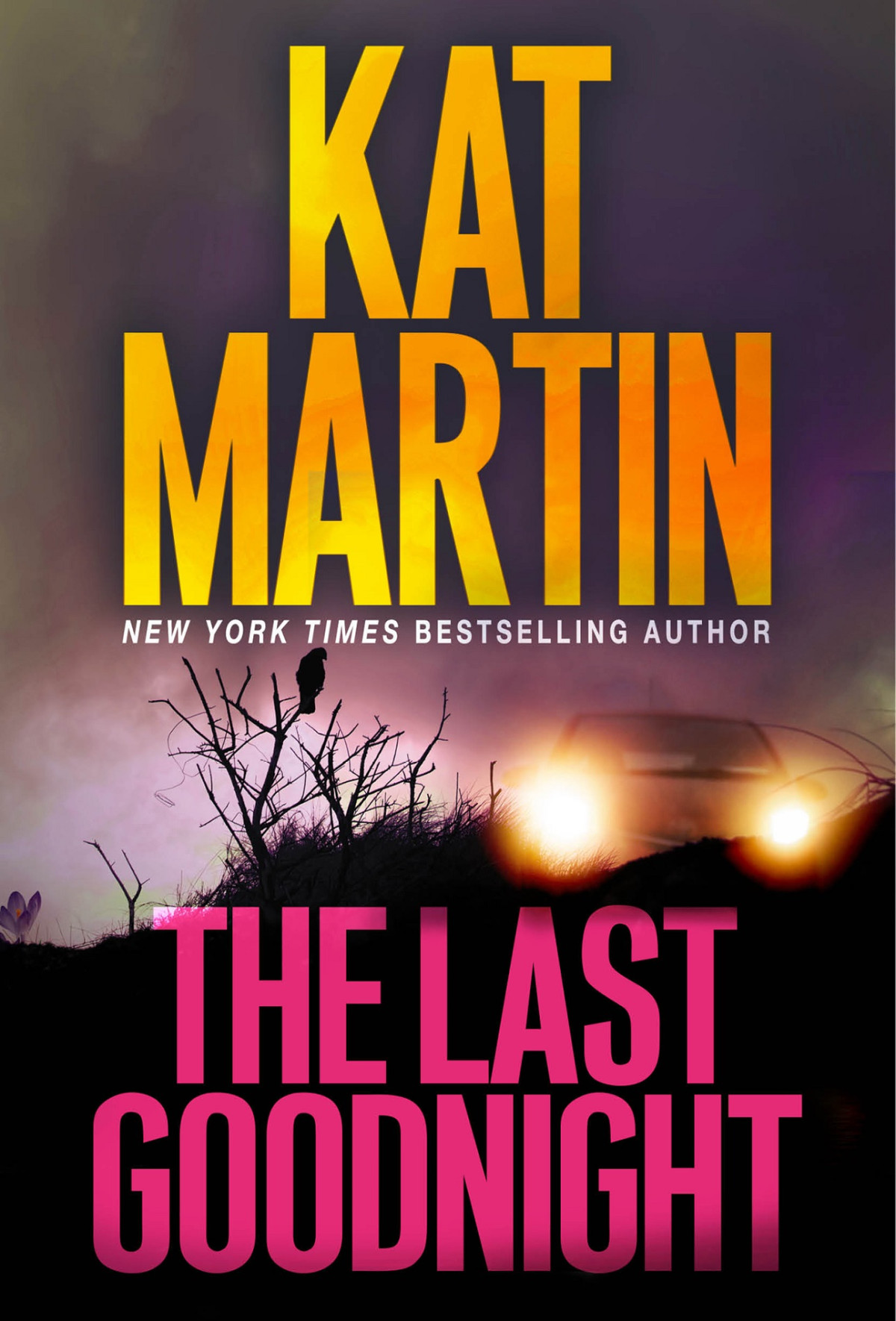 The Last Goodnight Kat Martin