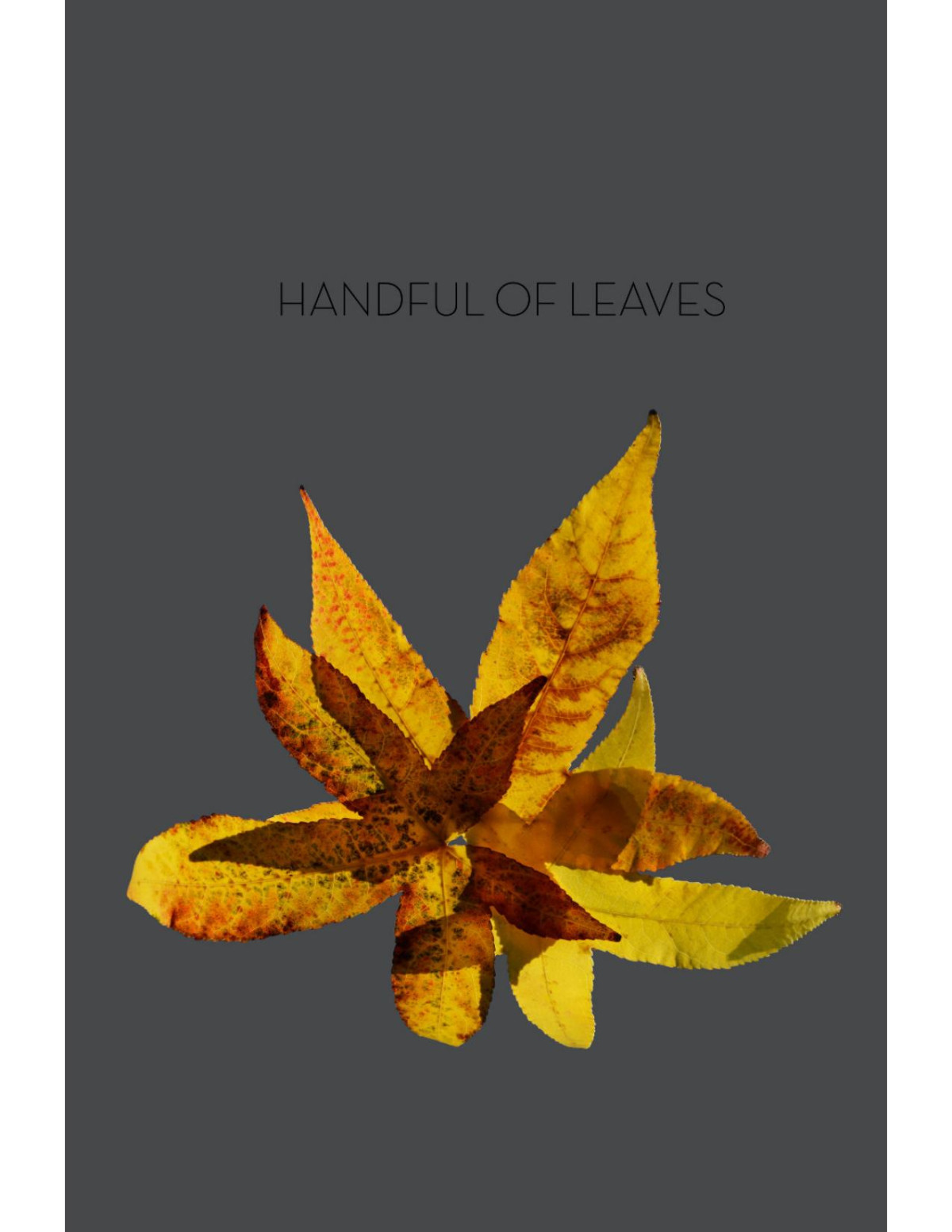 Handful Of Leaves An Anthology From The Sutta Piaka Hnissaro Bhikkhu