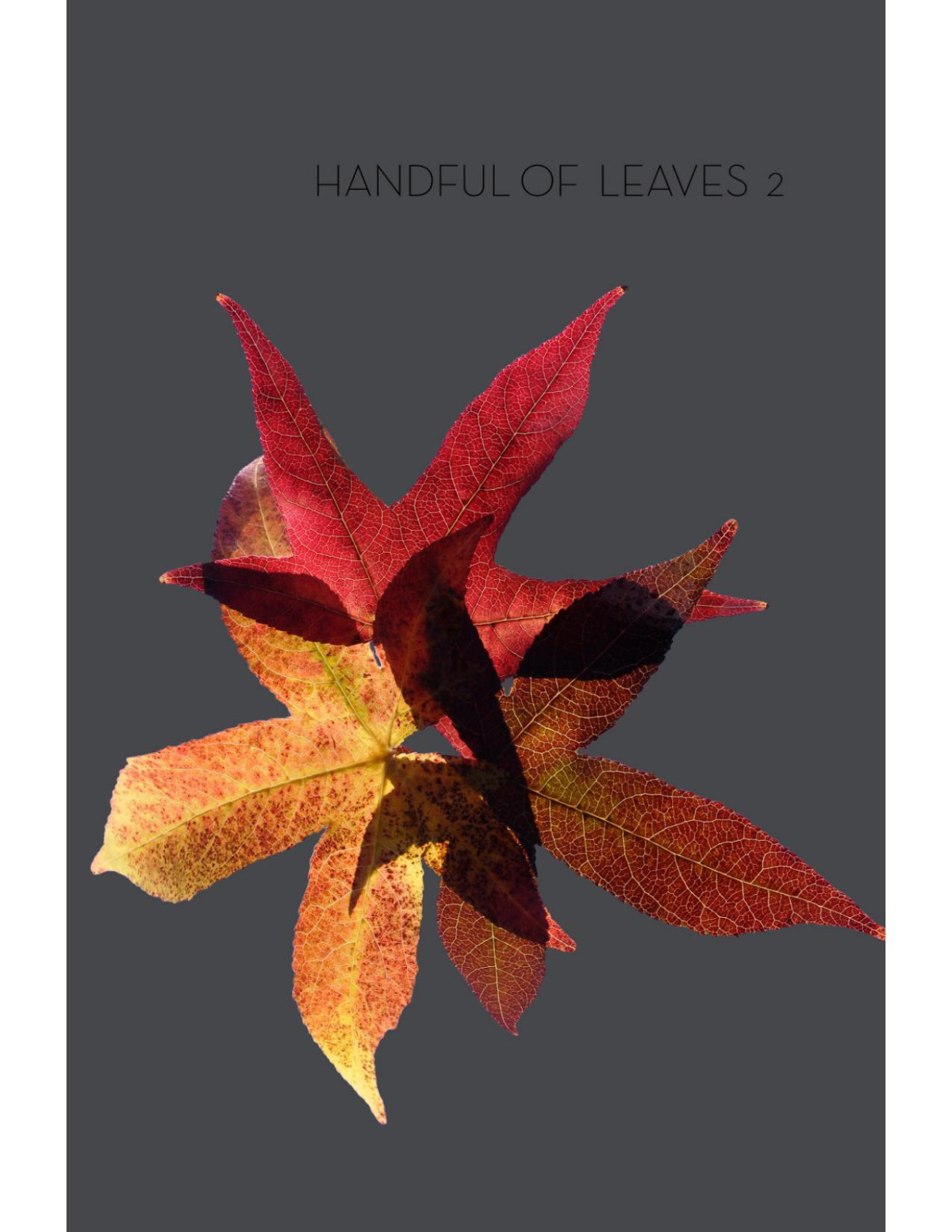 Handful Of Leaves Volume Two An Anthology From The Majjhima Nikya Hnissaro Bhikkhu