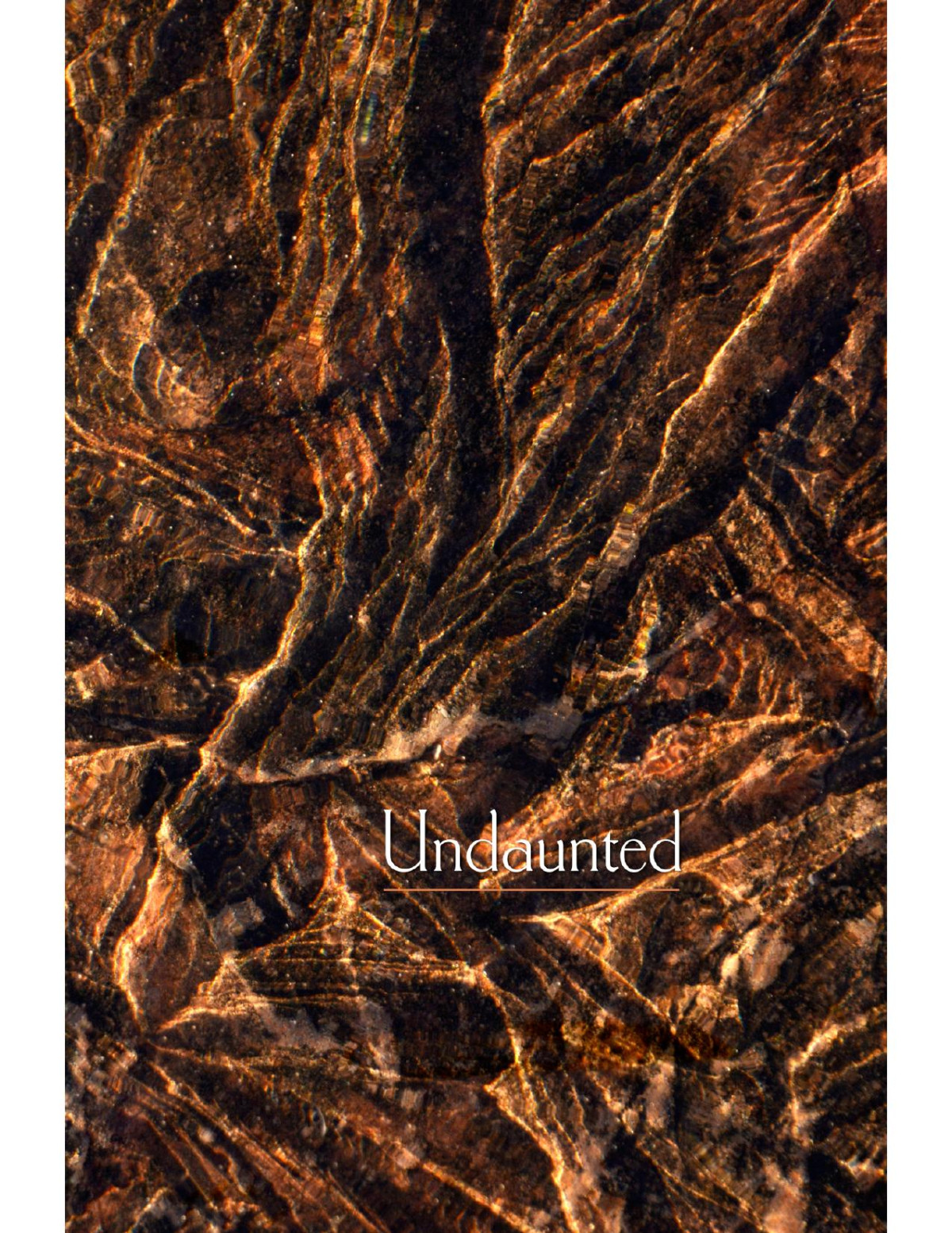 Undaunted The Buddhas Teachings On Aging Illness Death The Deathless Hnissaro Bhikkhu