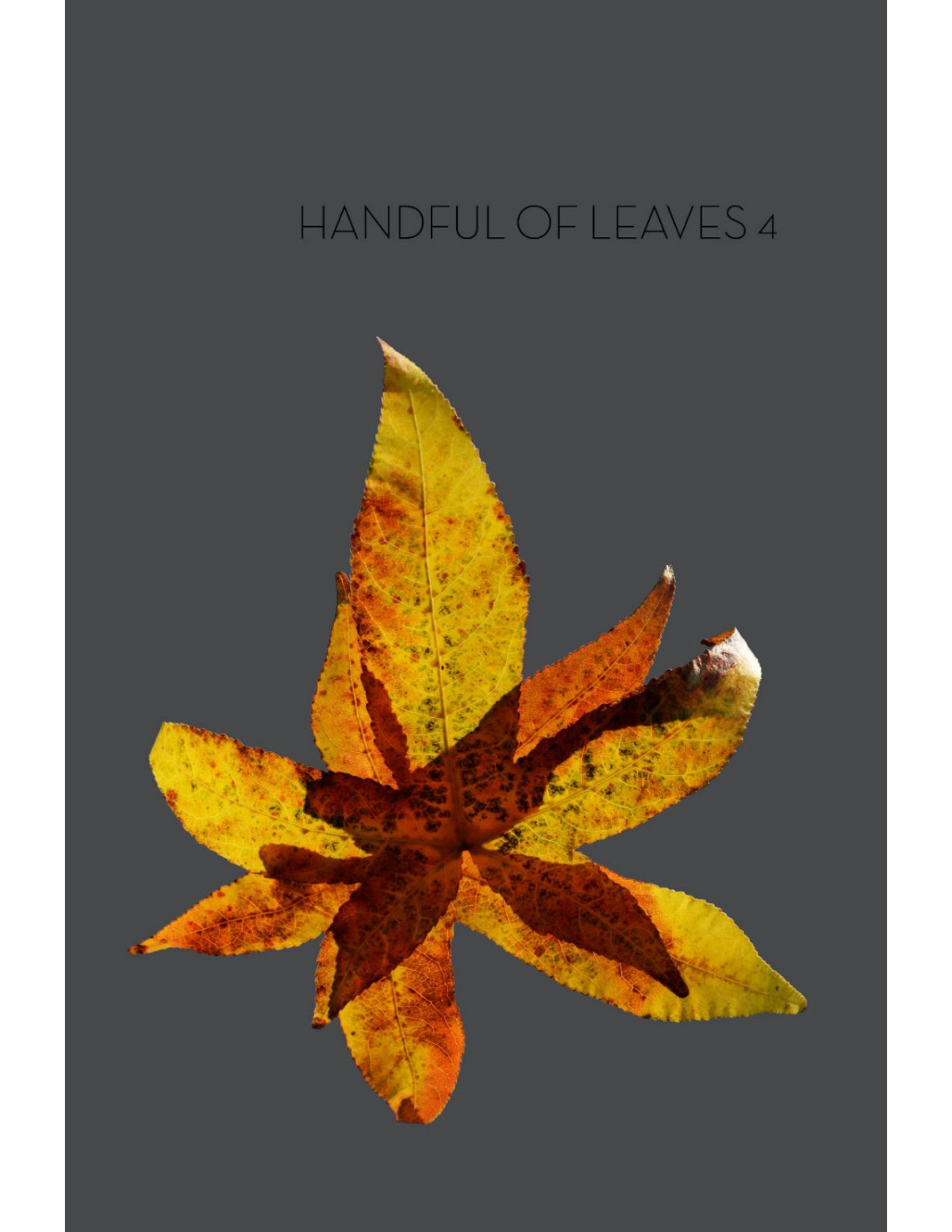 Handful Of Leaves Volume Four An Anthology From The Aguttara Nikya Hnissaro Bhikkhu