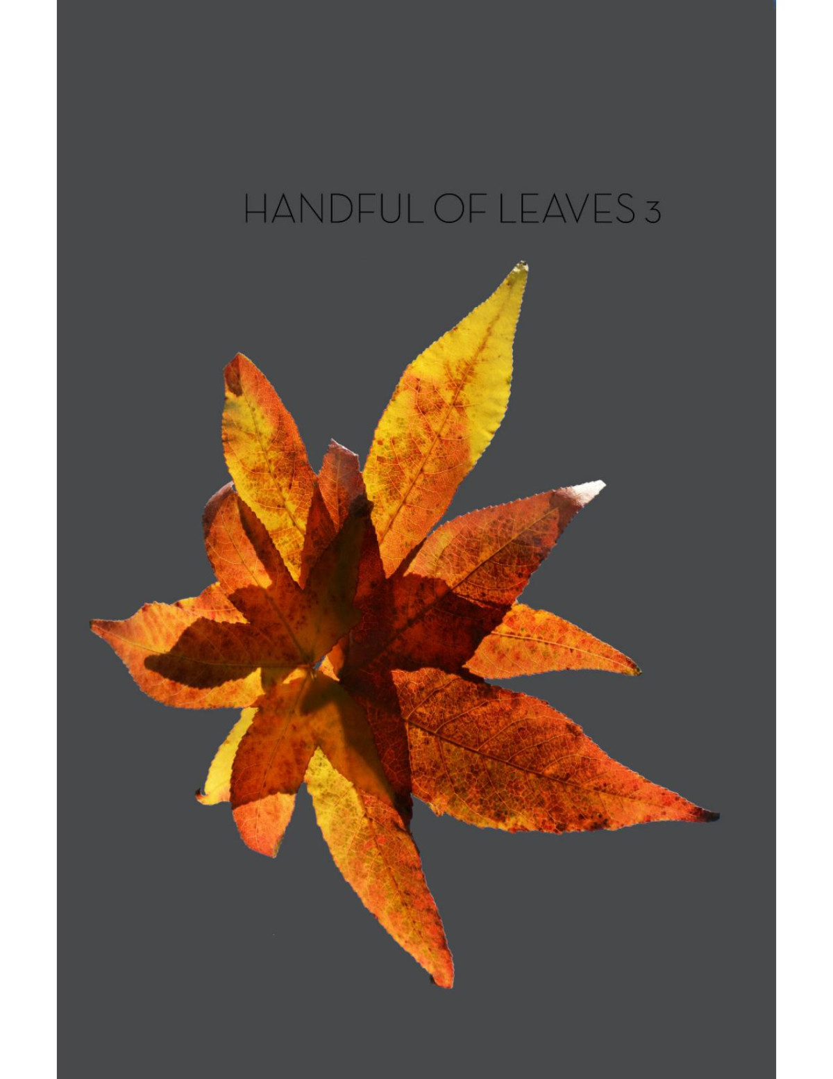 Handful Of Leaves Volume Three An Anthology From The Sayutta Nikya Hnissaro Bhikkhu