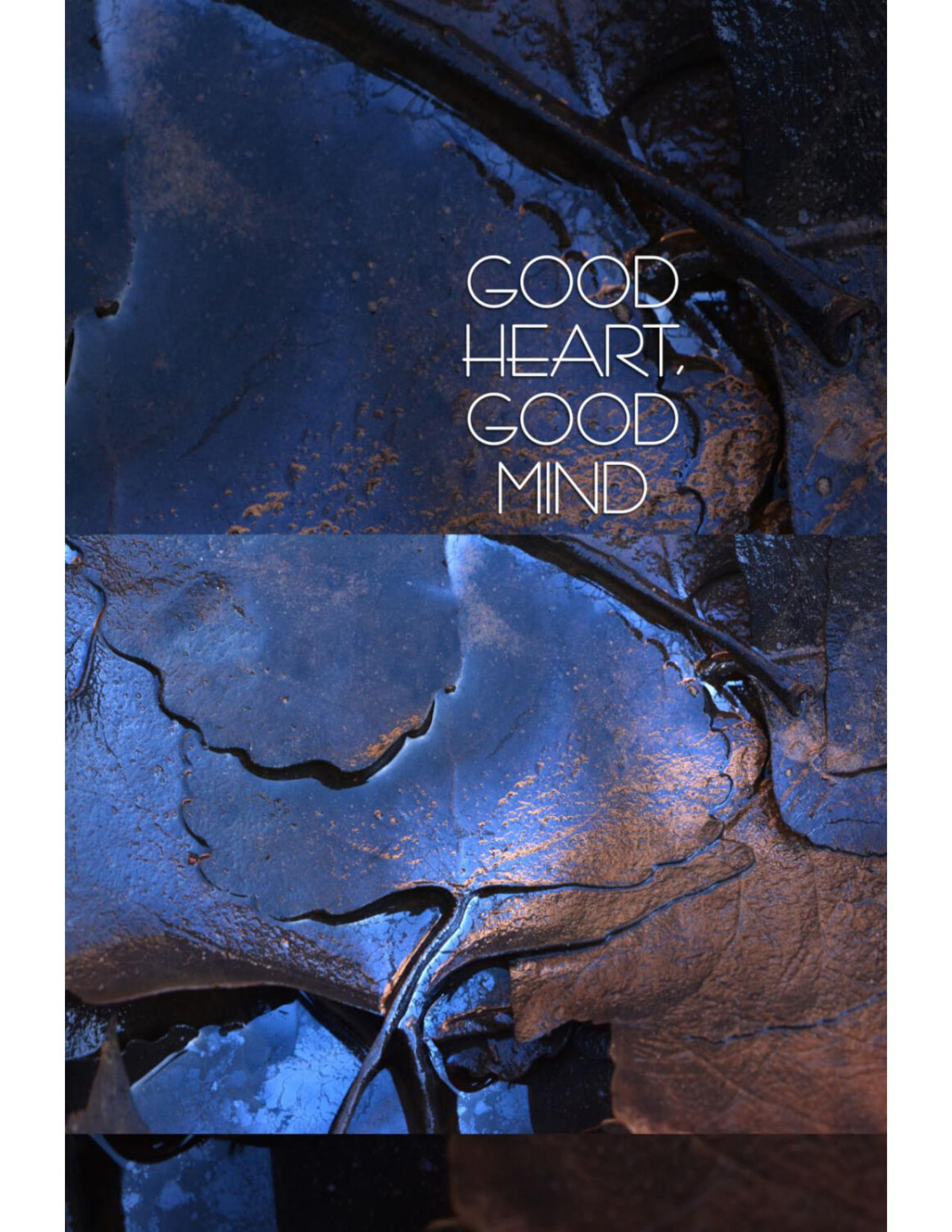 Good Heart Good Mind The Practice Of The Ten Perfections Hnissaro Bhikkhu