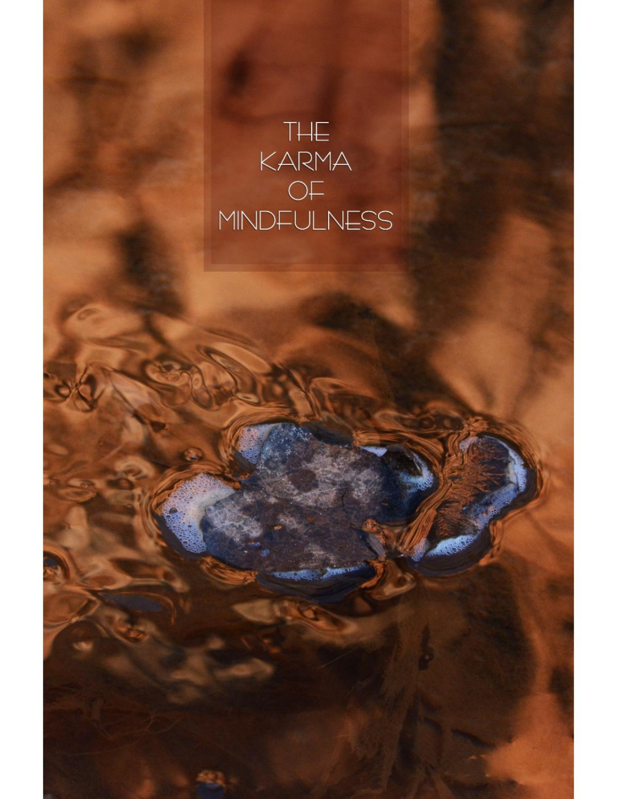 The Karma Of Mindfulness The Buddhas Teachings On Sati And Kamma Hnissaro Bhikkhu
