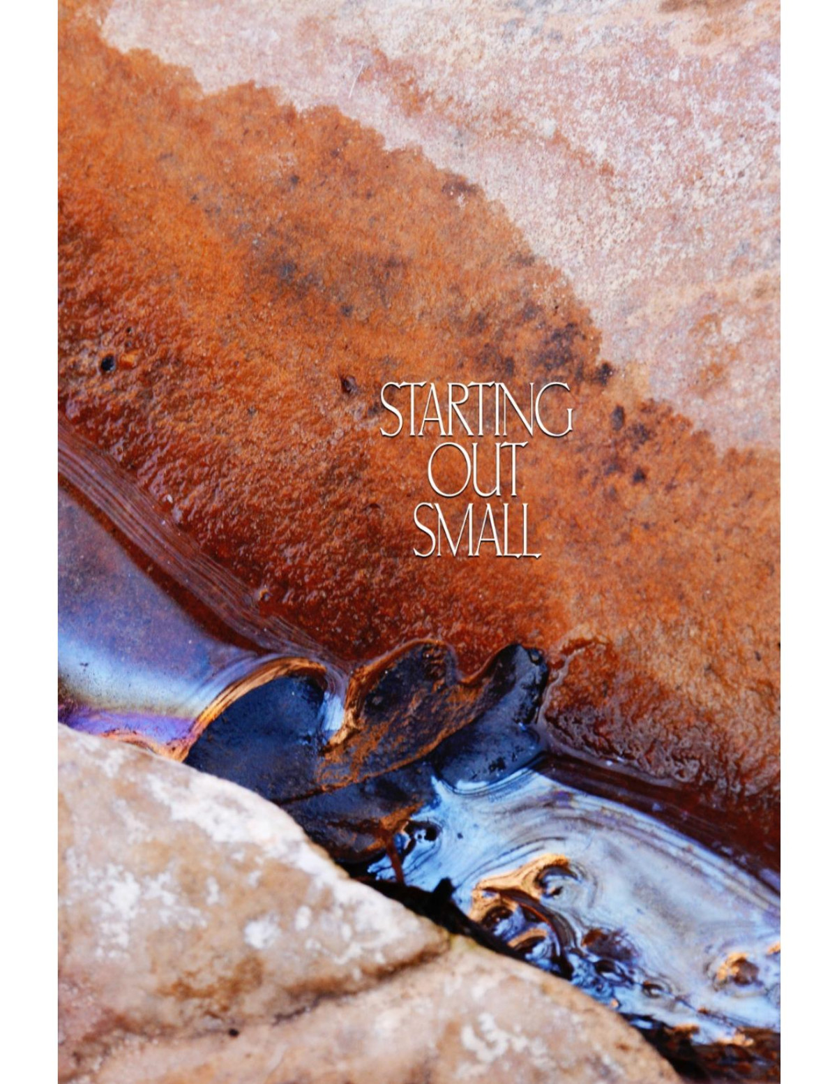 Starting Out Small A Collection Of Talks For Beginning Meditators Phra Ajaan Lee Dhammadharo
