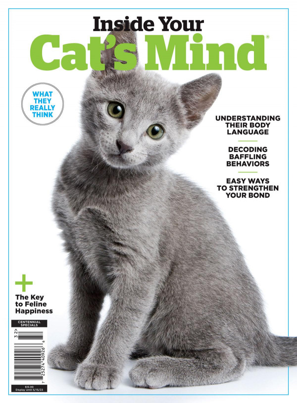 Inside Your Cats Mind Pamela Weintraub