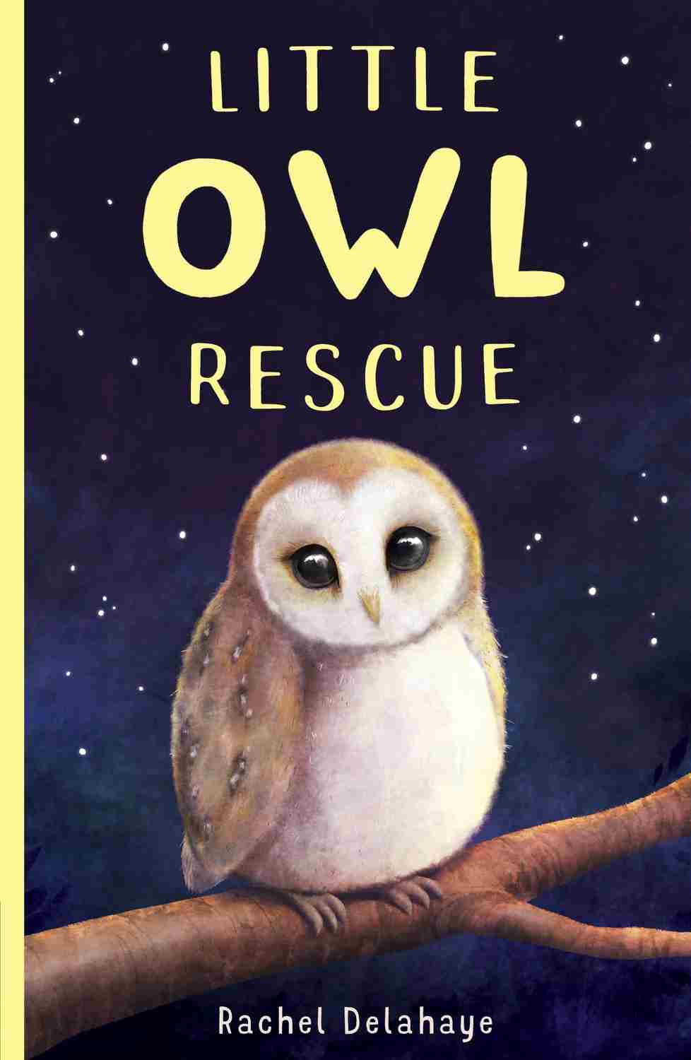 Little Owl Rescue Rachel Delahaye
