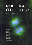 Molecular Cell Biology 6th Edition Harvey F Lodish