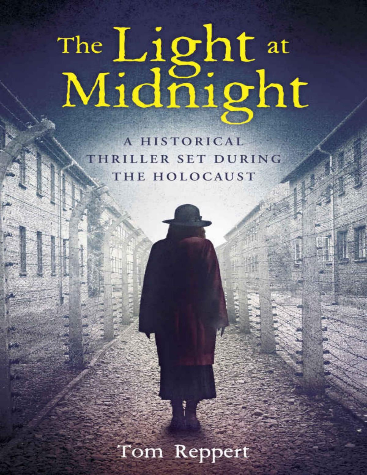 The Light At Midnight A Historical Thriller Set During The Holocaust Tom Reppert