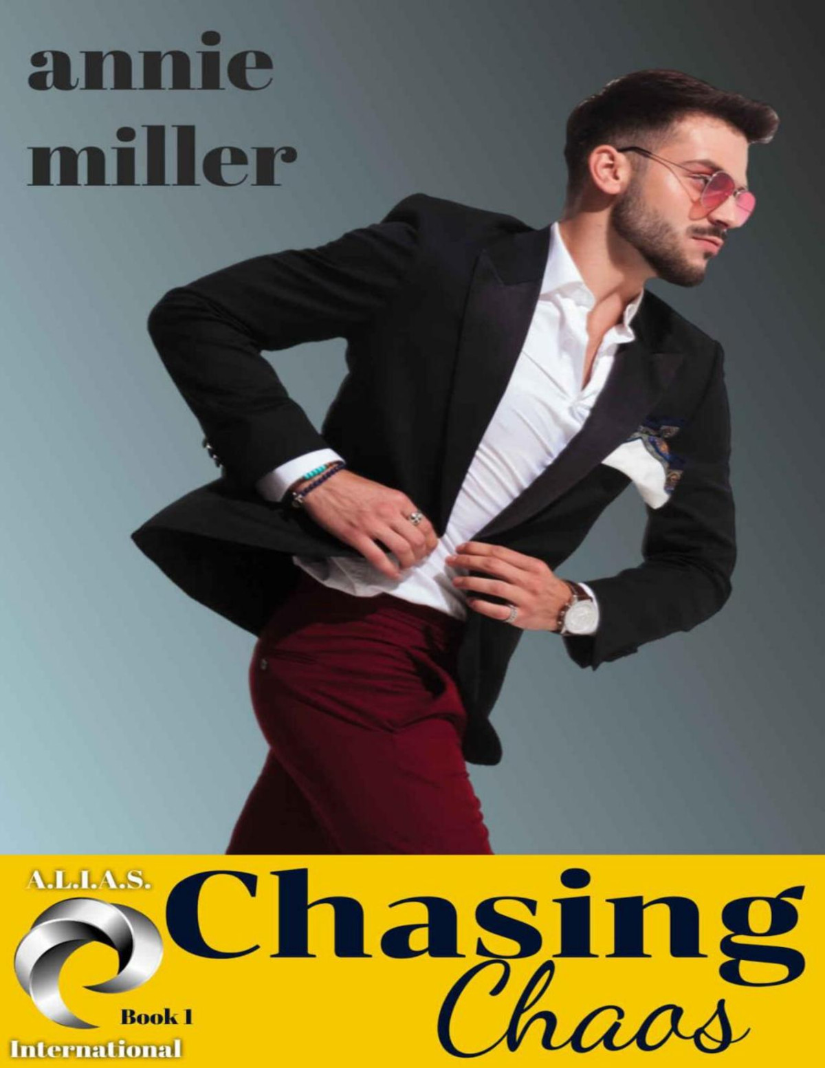 Chasing Chaos Alias International Annie Miller