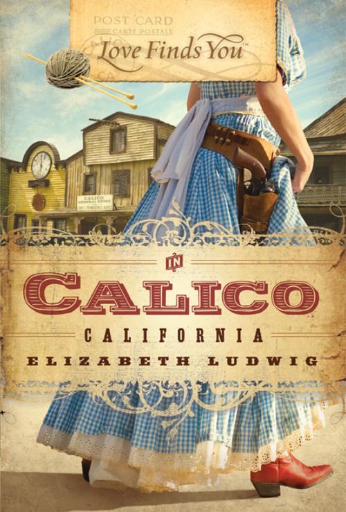 Lf25 Love Finds You In Calico California Elizabeth Ludwig