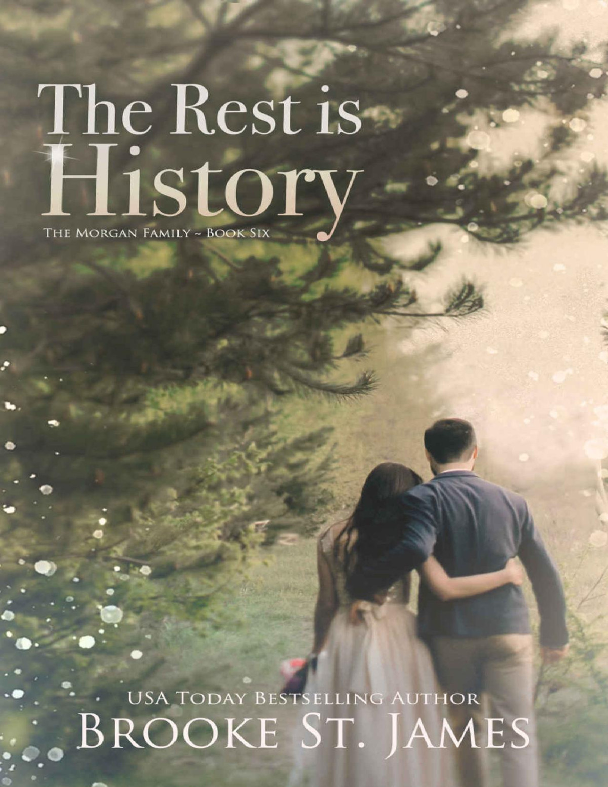 The Rest Is History A Romance The Morgan Family Book 6 Brooke St James